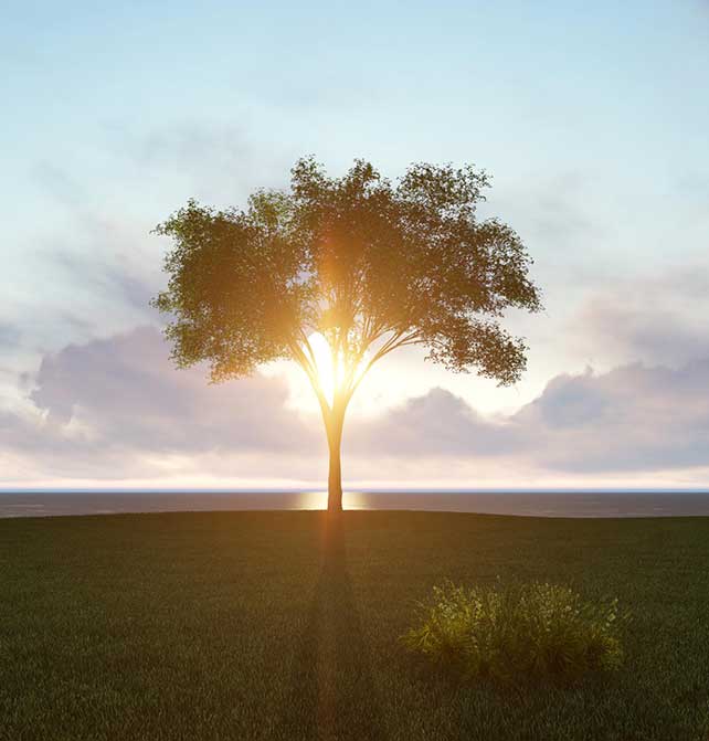 health and wellness for seniors