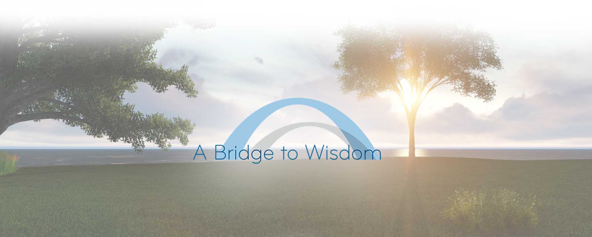 health-and-wellness-for-seniors