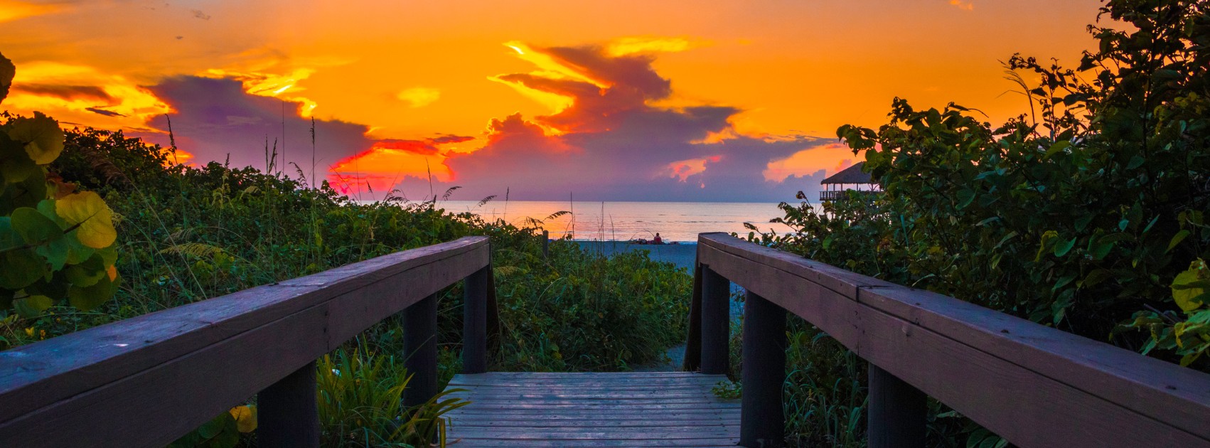 health-and-wellness-for-seniors