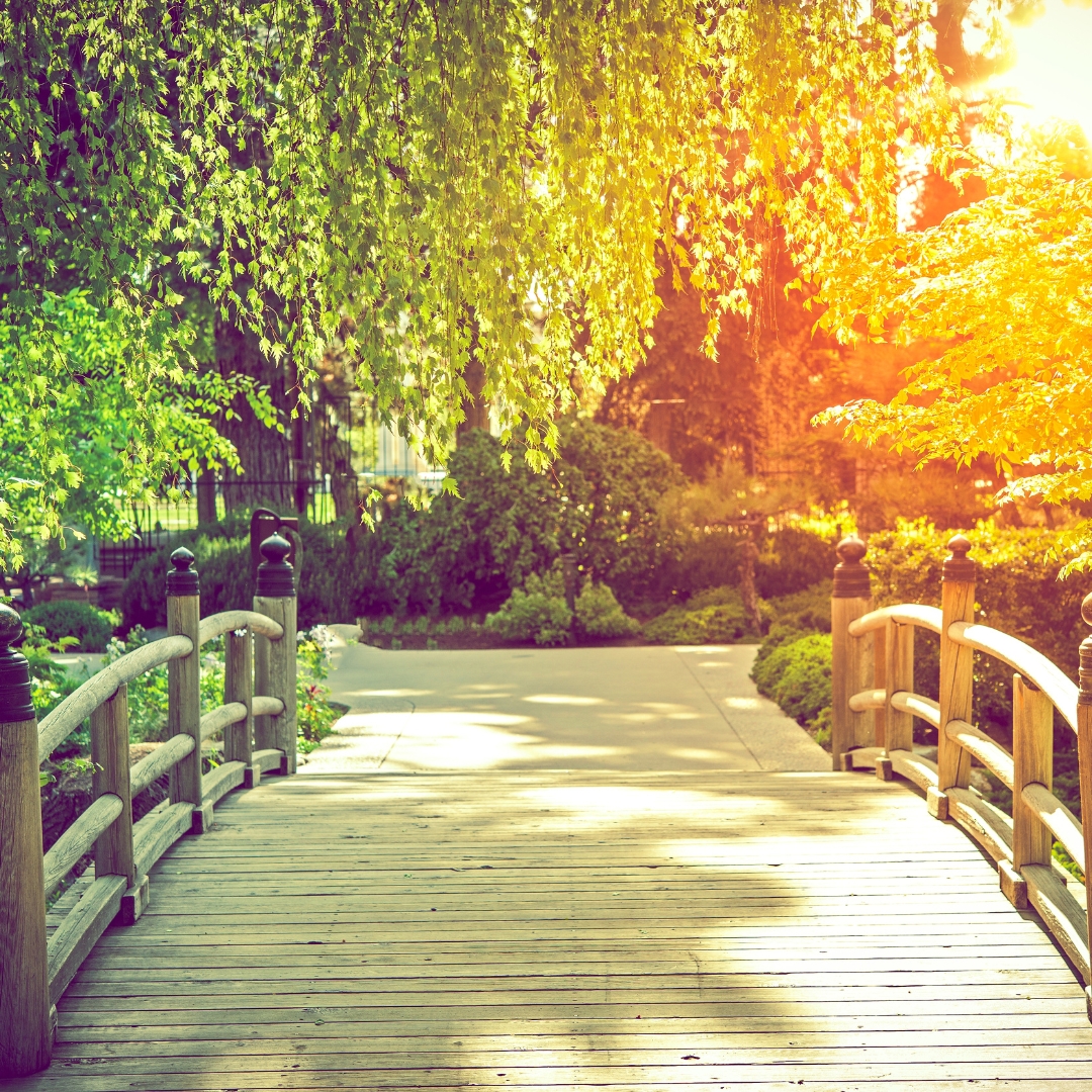 Building a Life of Love